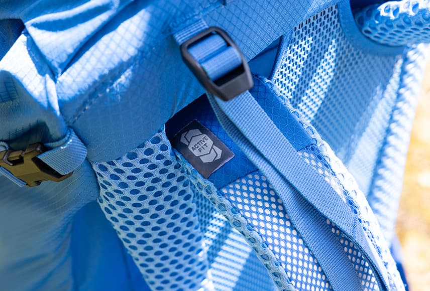 ショルダーハーネス