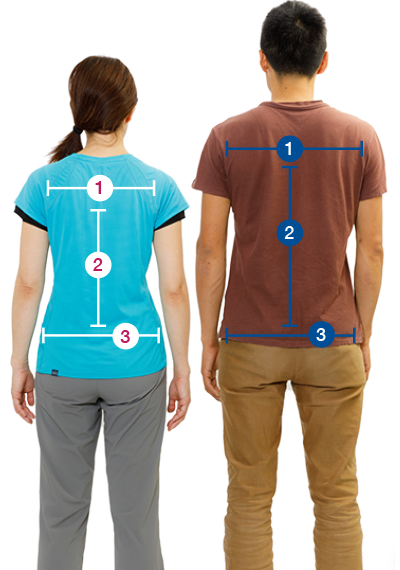 男女の肩幅、背面長、骨盤の形の違い